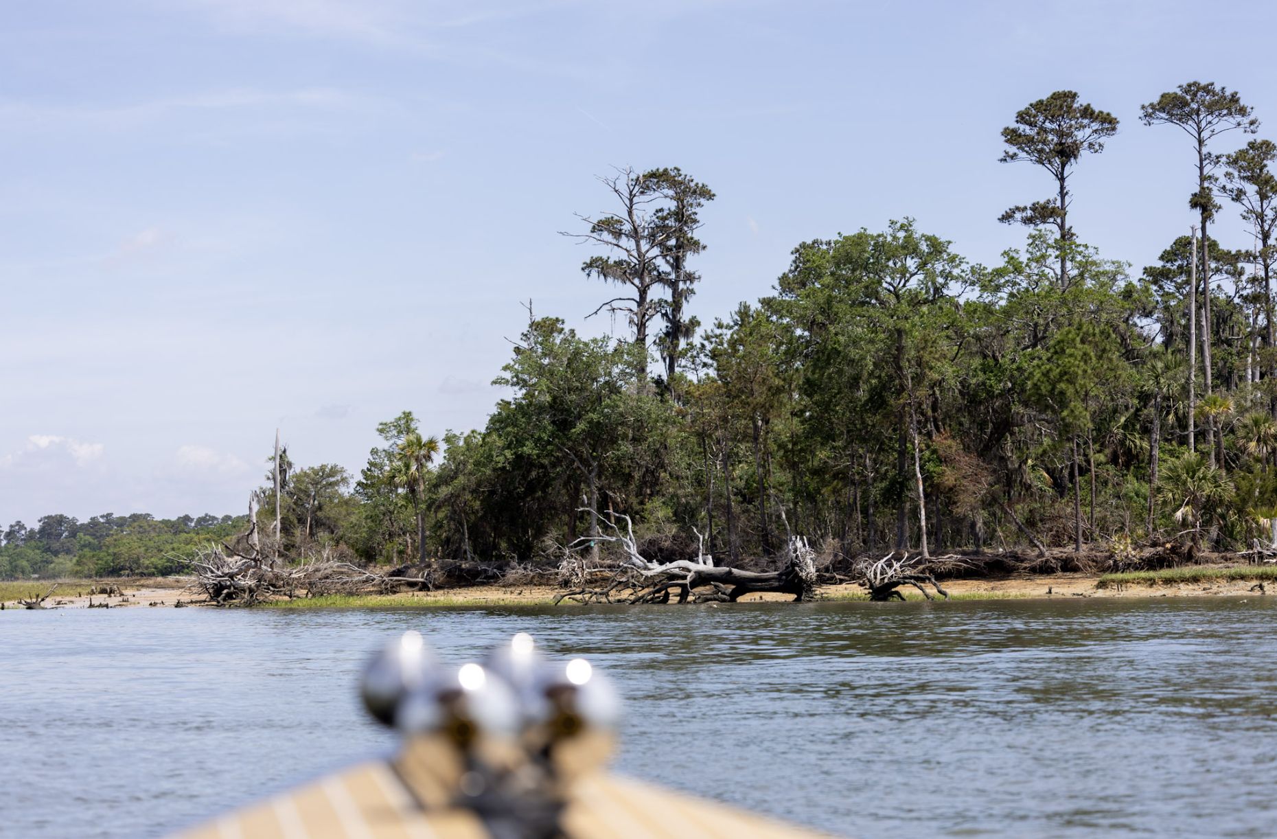 Looking past the bow toward a wild shoreline of pines, palmettos and driftwood